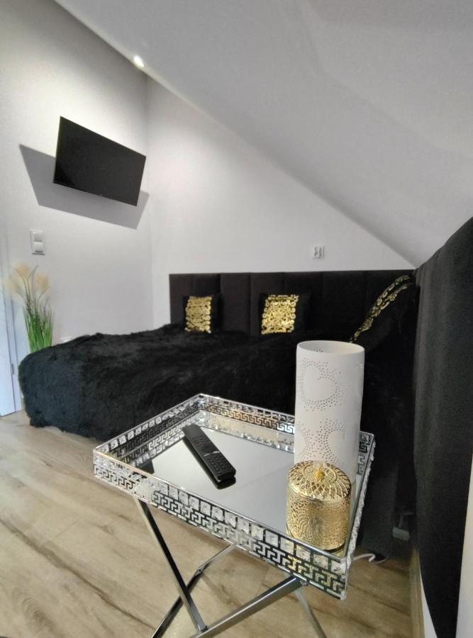 Apt Fiona4 Centrum700M Parking Bezplatny Monitorowany Salon Z Sypialnia Tv Lazienka Kuchnia Rekuperacja Karpacz Bagian luar foto
